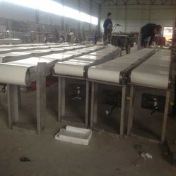 不銹鋼輸送機生產廠家,不銹鋼輸送機生產廠家生產廠家,不銹鋼輸送機生產廠家價格