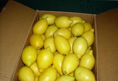 【新西蘭檸檬代理 清關服務代理 北京上海專業報關行為您服務】價格_廠家_圖片