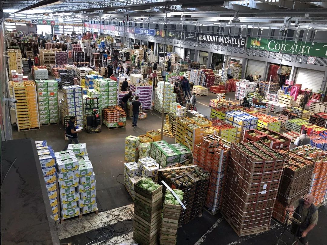 河北新發(fā)地集團(tuán)董事長(zhǎng)米亞林赴歐洲考察農(nóng)產(chǎn)品市場(chǎng)發(fā)展新模式